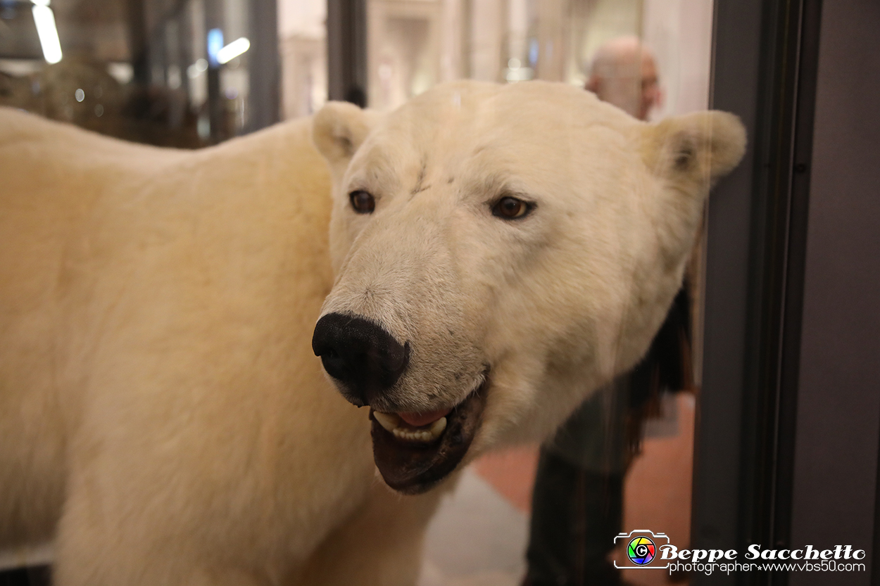 VBS_0958 - Riapre il Museo di Scienze Naturali dopo dieci anni di chiusura.jpg